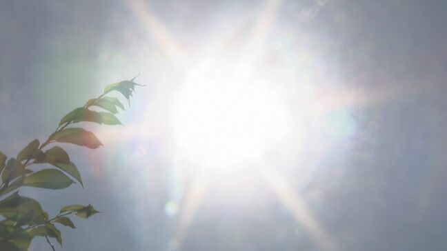 海なし県・信州でビーチバレーに熱中!女子の目標は「日本一」!実は…山国の強豪チームなんです!そんなチームの秘密の練習場とは?|TBS NEWS DIG