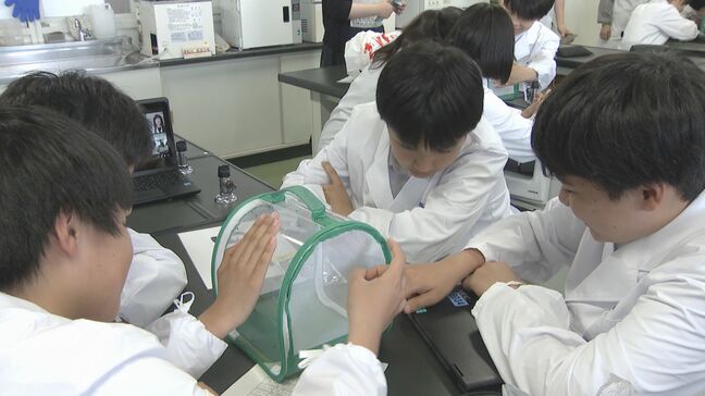 蚊はどんなものに寄ってくる?生徒が実験 蚊の生態を学ぶ特別授業|TBS NEWS DIG