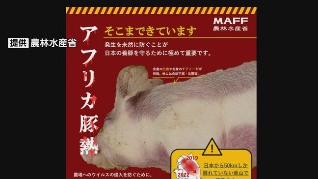 台湾で発生の「アフリカ豚熱」の侵入を防げ 検疫所で周知活動|TBS NEWS DIG