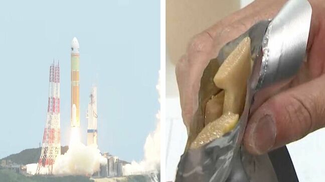メンマを宇宙食に　食品生産会社の挑戦　認証のカギは”塩分と水分を抑えること”　福岡|TBS NEWS DIG