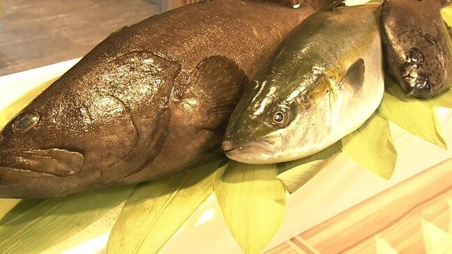 「SUSHIの未来がここに 万博だけの超特別メニュー」大阪・関西万博 くら寿司/スシロー/近畿大学水産研究所|TBS NEWS DIG