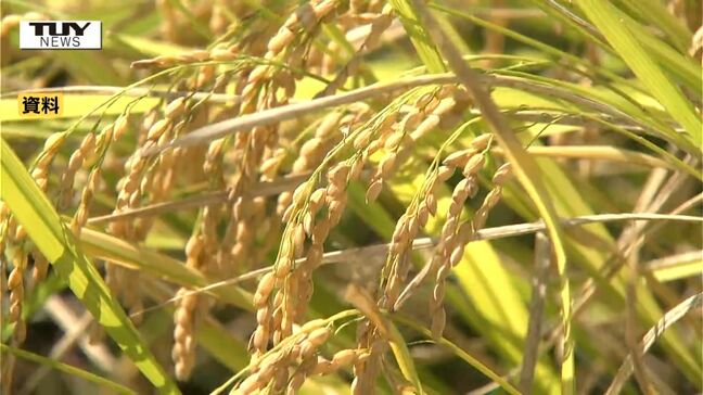 高温に負けないコメづくりと日本一の品質を目指す　山形市でコメ作り検討会議|TBS NEWS DIG