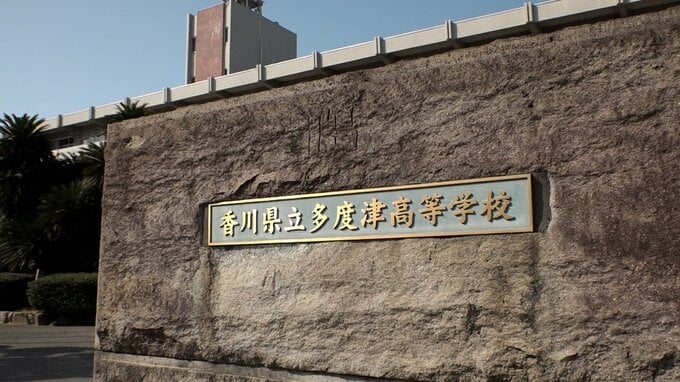 高校生が学校のグラウンドで部活動中に「セアカゴケグモ」にかまれる　|TBS NEWS DIG