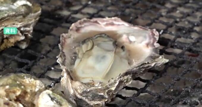 能登の食発信へ のと里山空港で3月に復興イベント 生産者のなりわい再建を支援|TBS NEWS DIG