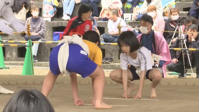 〝桜ずもう〟でハッケヨイ！豆力士らが熱闘…琴櫻（第53代横綱）ゆかり地で 鳥取県倉吉市　|　BSSニュース | BSS山陰放送