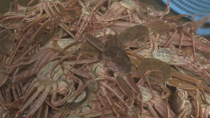 ズワイガニ漁に密着! 寒い海で奮闘する漁師たち 漁師飯を食べながら休憩するひと時も 石川・加賀市|TBS NEWS DIG