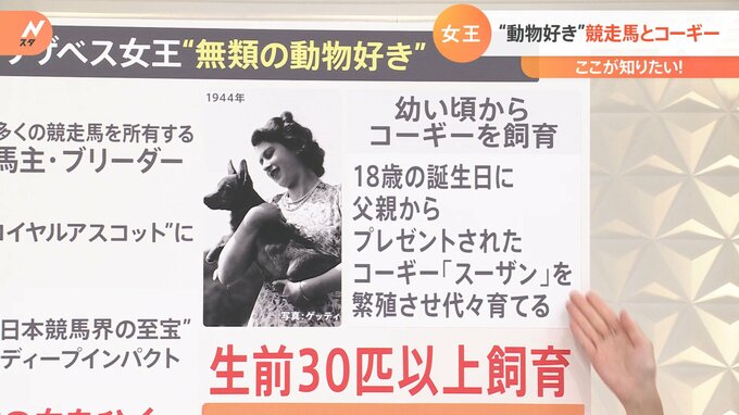 日本競馬界の至宝「ディープインパクト」は、女王の所有する馬の“ひ孫”！ エリザベス女王の知られざる【動物好き伝説】|TBS NEWS DIG