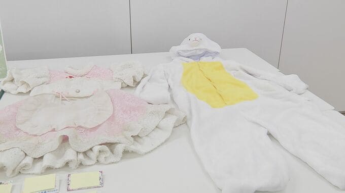 「ウサギの楽園」イメージしたコンカフェ…無許可で接待営業をした疑い 代表の男（29）ら男女3人逮捕　警視庁|TBS NEWS DIG