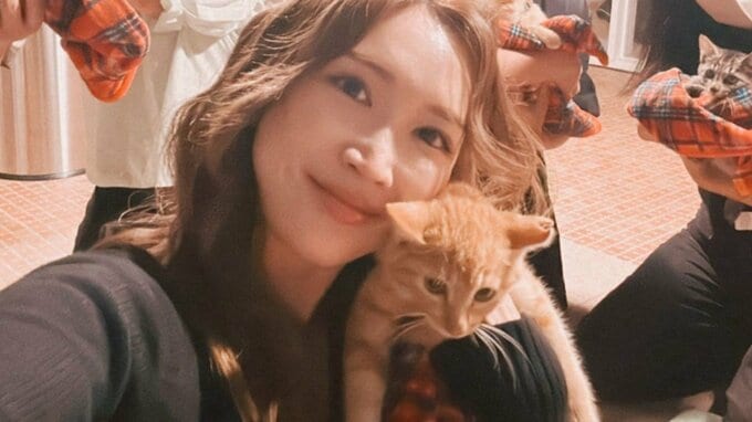 【紗栄子】ファームで保護猫活動を開始　フォロワーから応援のコメント続々|TBS NEWS DIG