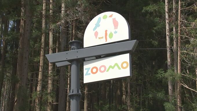 動物園にクマ侵入か　壁に爪痕　盛岡市動物公園ZOOMOが9日まで臨時休園|TBS NEWS DIG
