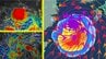 【台風情報】またもダブル台風発生か…　うち1つは「強い勢力」になって北上の見込み　2つの“台風のたまご”＝熱帯低気圧が発生　日本への影響は？　気象庁情報／進路予報／雨と風の予想シミュレーションあり　|　青森のニュース│ATV NEWS│青森テレビ