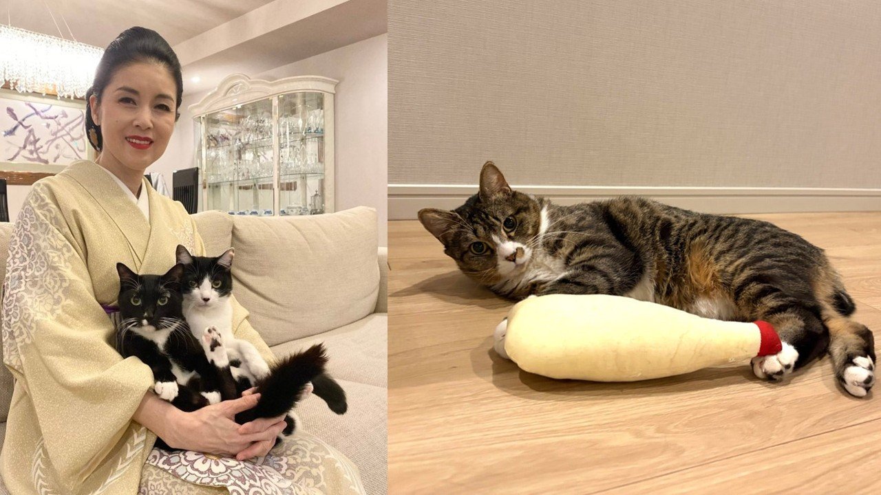 あやこ出品 藤あや子】今年最後の身支度「問題はじゃこだね〜」 苦悩を告白