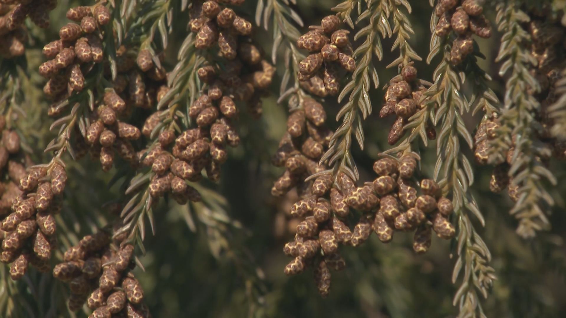 img_e276170b70a6294dfbcafb7875