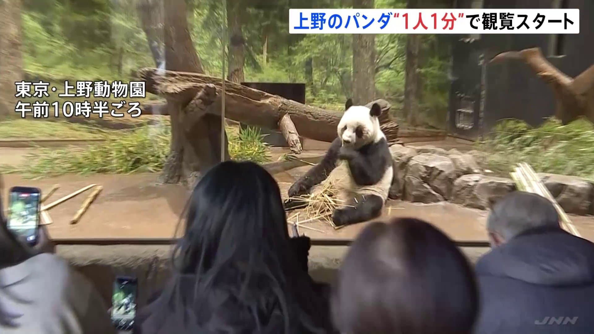 上野動物園のパンダ「シャオシャオ」「レイレイ」に行列 お別れを前に1