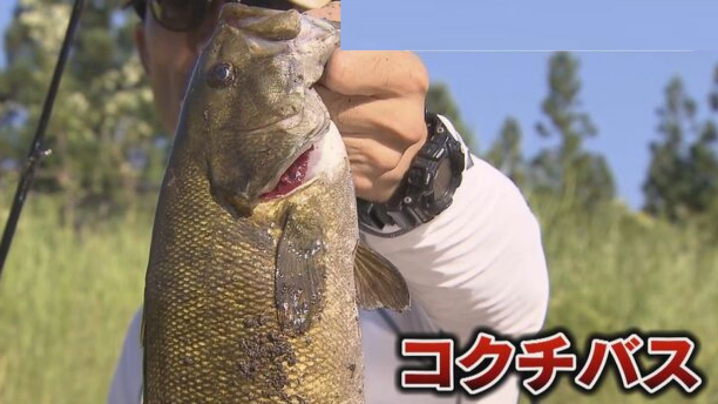 アユを食べてしまう“肉食”外来魚 コクチバスを駆除せよ！岐阜県がため池の水全部抜く 本気の作戦を開始 3キロ先は長良川 “食害”を防ぐ