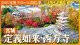 五重塔を彩る 定義如来西方寺の紅葉【JNN 紅葉ドローンDIG 2023】|TBS NEWS DIG