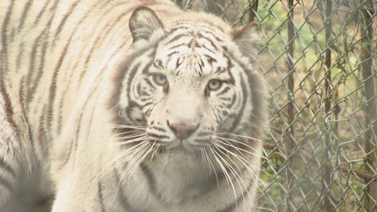 img_e23b0c48ac826d88e10f058a0e