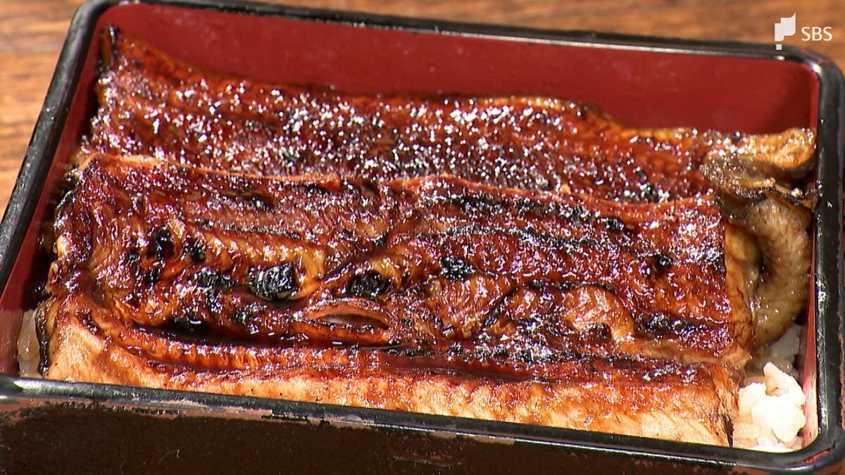 まったく違う食べ物だと思ってくれた方がいい!?」うなぎのかば焼き 関東風と関西風の“境界線”は浜名湖にあり！ | 静岡のニュース | SBSNEWS  | 静岡放送 (1ページ)