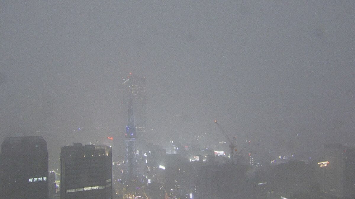 名古屋などで局地的雷雨 守山区では倒木も 休日の帰宅の足を直撃