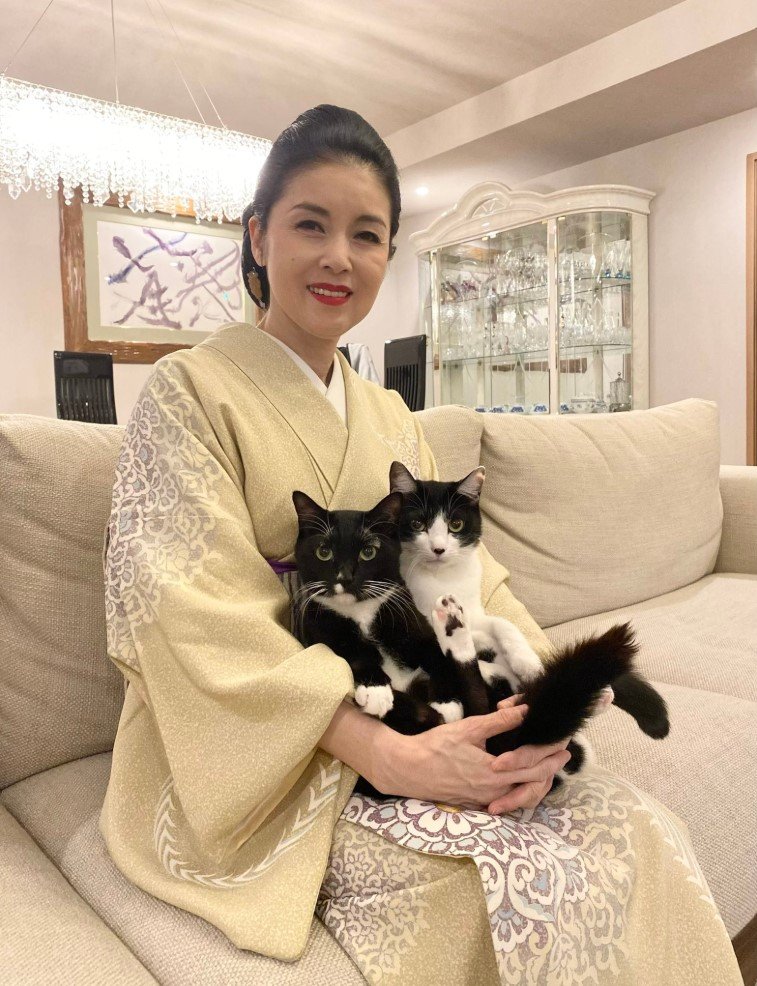 ねこ 】藤あや子さんの保護猫じゃこ天 クッションを「強奪」 藤さん