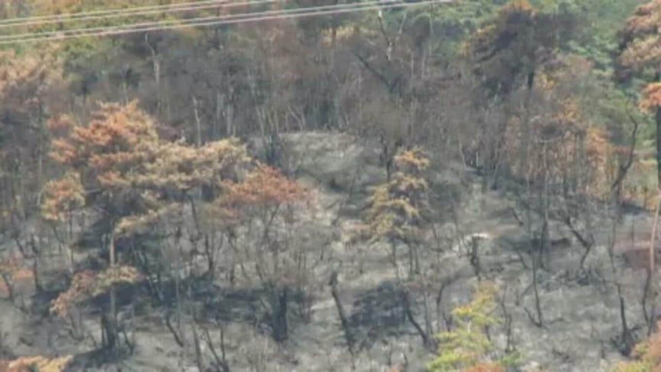 発生から7日…ようやく山火事の鎮火を確認 山間地の乾燥が延焼拡大の原因か | TBS NEWS DIG フォトギャラリー