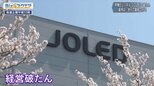 パナソニックとソニーの有機ELパネル会社破たん~政府系ファンドの支援に課題は?~【Bizスクエア】|TBS NEWS DIG