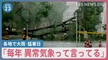 東京・八王子で39.1度　茨城では建物倒壊　各地で大雨 突風 猛暑　頭抱えるトマト農家「毎年異常気象って言ってる」【news23】|TBS NEWS DIG