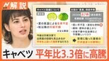 キャベツ高騰1玉430円も… 葉物野菜の高値止まらず、いかに食品を無駄なく使うか 注目は「ストパ」【Nスタ解説】|TBS NEWS DIG