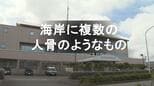 海岸に複数の人骨のようなもの「人間の下半身の骨の一部のように見える」　|　長崎のニュース | 天気 | NBC長崎放送