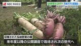 収穫した伝統野菜を食べ比べ 長崎大学で公開講座 | 長崎のニュース | 天気 | NBC長崎放送