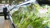 レタス258円、キュウリ3本258円…長引く日照不足 この先2週間も雨やくもり 野菜価格が上昇 鹿児島 | 鹿児島のニュース|MBC NEWS|南日本放送