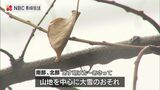 28日明け方から山地を中心に大雪に注意 長崎県内|TBS NEWS DIG