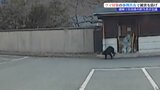 ツキノワグマ被害防止へ さまざまな対策の事例を共有する市町村連絡会議 盛岡市|TBS NEWS DIG