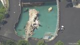 「水浴びのサイは全く動きません」猛暑でぐったり？お盆の東山動植物園 CBCテレビ若狭敬一アナウンサーが上空から実況【チャント！】　|　名古屋・愛知・岐阜・三重のニュース【CBC news】 | CBC web