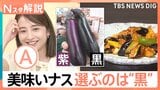 ナスは「黒」、ブルーベリーは「白っぽい」 美味しい食材の見分けポイントをご紹介【Nスタ解説】|TBS NEWS DIG