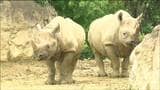 動物や自然環境に関心を 八木山動物公園でイベント「FUJISAKI DAY」 仙台|TBS NEWS DIG
