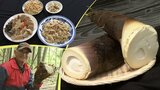 出荷停止が解け、16年ぶりに味わえるこの季節の旬の味　孟宗竹のタケノコ　収穫作業にも挑戦！お煮しめにして味わってみました　岩手・陸前高田市|TBS NEWS DIG