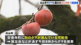 “住宅地でクマに襲われ3人が重軽傷” 1頭捕獲もさらに別の個体が潜んでいる可能性 猟友会らによるクマ捜索続く 石川・白山市　|　石川県のニュース｜MRO北陸放送