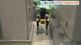 全国初だワン！　犬型ロボットが排水設備を点検　熊本|TBS NEWS DIG