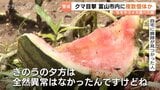 【クマ出没】住宅街にモモ食べるクマ潜伏か スイカ被害や防犯カメラ映像も…富山市「同一個体の可能性は低い」と複数出没に注意呼びかけ|TBS NEWS DIG