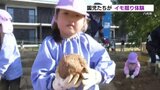 顔より大きい!?園児たちが芋掘り体験 重さ2キロのお芋も掘れた! 熊本・八代市 | 熊本のニュース|RKK NEWS|RKK熊本放送
