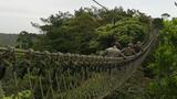 沖縄・米軍北部訓練場でオランダ軍が訓練 基地の「また貸し」に問題はないのか | 沖縄のニュース|RBC 琉球放送