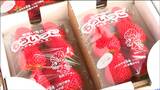 「皆さんにあげるの」特産イチゴの販売会 「やまもと夢いちごの郷」6周年を記念して感謝祭 宮城・山元町 | 宮城のニュース│tbc NEWS│tbc東北放送