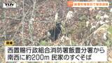 【動画】合計5発の銃声が...飯豊町で柿の木に登るクマ目撃　緊急銃猟により駆除（山形）　|TBS NEWS DIG