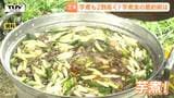 「芋煮」のコストが上がるなか「芋煮会」をお得に楽しむコツとは?商品の選び方でできる節約術を調査(山形) | 山形のニュース│TUYテレビユー山形