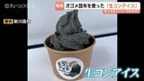 「うま味が濃厚」 高校生がガゴメ昆布使った「生コンアイス」開発 スプーンはスコップ 富山・魚津市 | 富山のニュース|天気・防災|チューリップテレビ