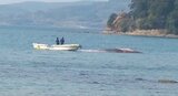 打ち上げられたクジラの海上輸送始まる・あす以降埋設へ　山口・長門　|　山口のニュース・天気・防災｜tys NEWS｜ｔｙｓテレビ山口