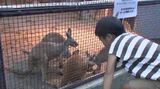 涼しい夜に生き生きと動き回る動物たちを間近で観察　須坂市動物園でナイト・ズー|TBS NEWS DIG