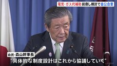 “夏の酷暑対策”で電気・ガス代への補助を今年も実施　自民・公明両党の幹部が合意　今年は8月より早い時期の開始を目指す| TBS CROSS DIG with Bloomberg