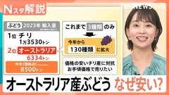 「450円」なぜ安い？ オーストラリア産ぶどう、現地“ぶどう協会”を取材…オススメは黒と赤【Nスタ解説】| TBS CROSS DIG with Bloomberg